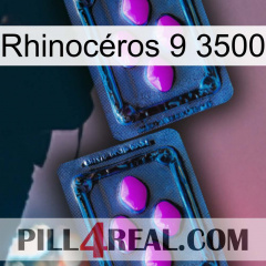 Rhinocéros 9 3500 03